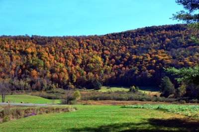 Vermont hillside in full color