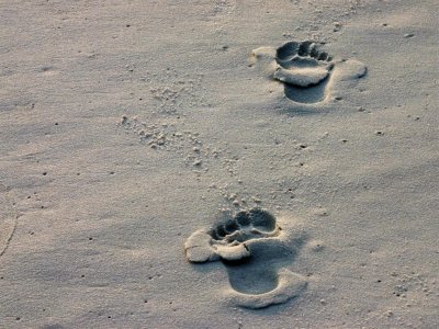 Lone Footprints 