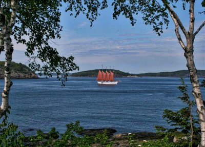 The Margaret Todd sailing in Bar Harbor, Maine