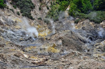 Hot Sulfer Springs near Soufriere