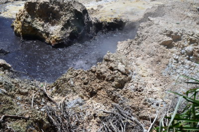 Hot Sulfer Springs near Soufriere