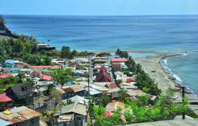 Canaries, St. Lucia