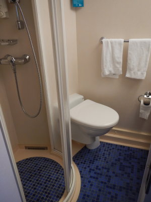 The bathroom & shower