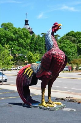 Columbia loves its Gamecocks!