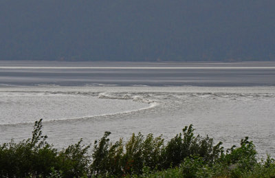 A Bore Tide rushing up Cook Inlet, Alaska