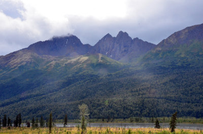 View from the train
