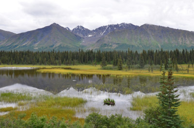 View from the train