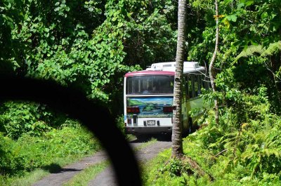 A bus through the jungle down to the beach