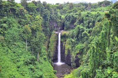 Sopoaga Falls in the thick jungle