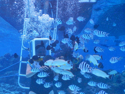 20 Ft down the ladder and surrounded by fish