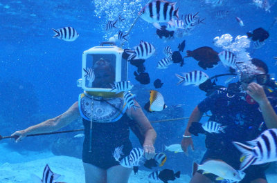 The fish were looking for a handout