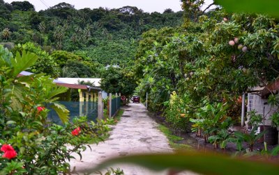 Tiny streets in the jungle