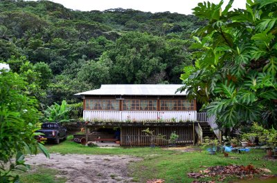 Home in the jungle