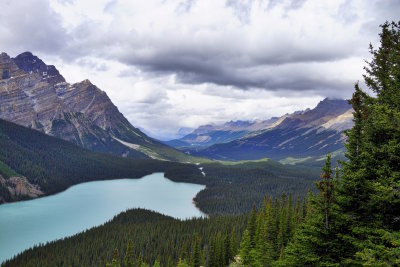 g9/58/833558/3/160901196.BSYkXxpl.jpg