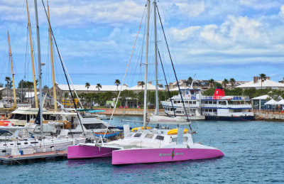 Honey, this is Bermuda! I want a PINK one!