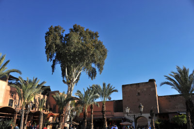 Marrakech61.jpg