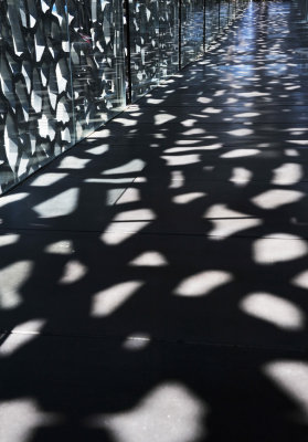 Mucem40 .jpg