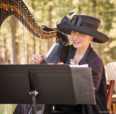 Harpist Anne Roos, the Best Harpist in Sacramento and Siera