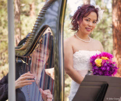 Harpist Anne Roos, the Best Harpist in Sacramento and Siera 