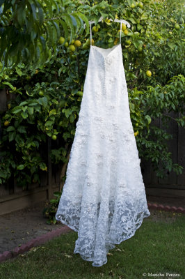 My wedding gown: back side