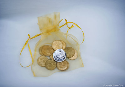 Dollar Coins and our wedding tag