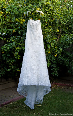 My Wedding Gown (front)