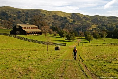 From one of our countless day hikes in Sunol, that hiker there is my hiking buddy Uma