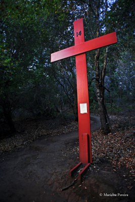 The 14th Station of the Cross up on the hill