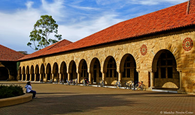 A Scene at Stanford Quad