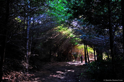 Point Reyes, California