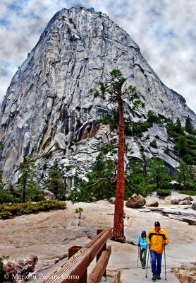 Yosemite National Park, California