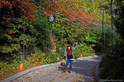 It's Pumpkin Season, St. Louis Zoo