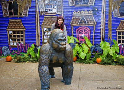 Me and Phil the Gorilla, St. Louis Zoo