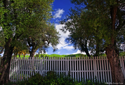 Mission San Jose, Fremont California