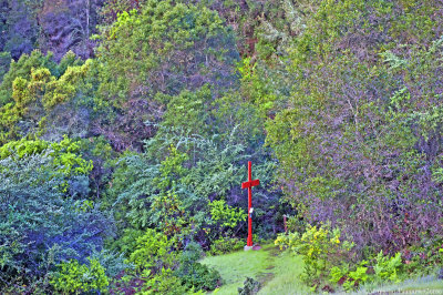 4th Station of the Cross, Spring 2016