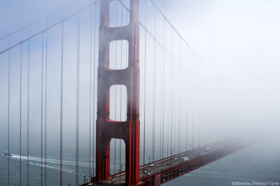 Golden Gate Birdge and Fog, July 2016