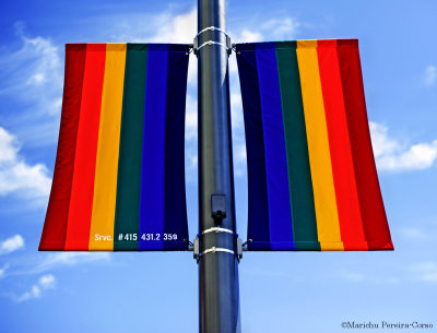 CASTRO...Rainbow Flag