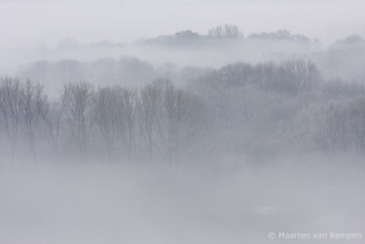 Fog