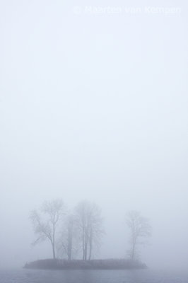 Fog