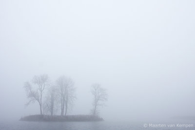 Fog