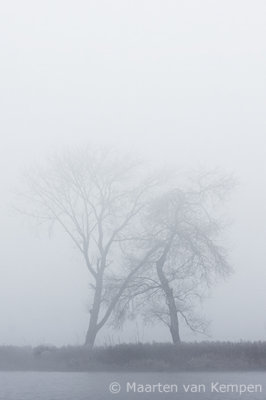 Fog