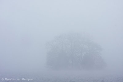 Fog