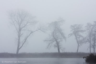 Fog