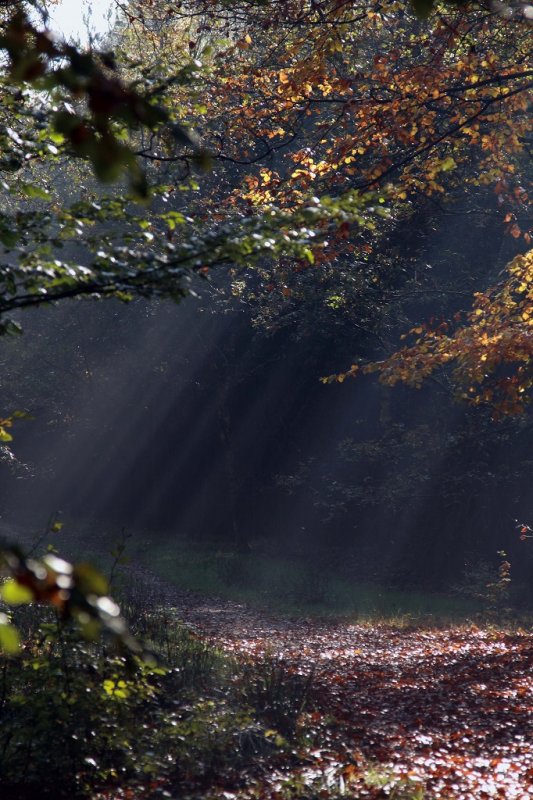 Catch the light-0683
