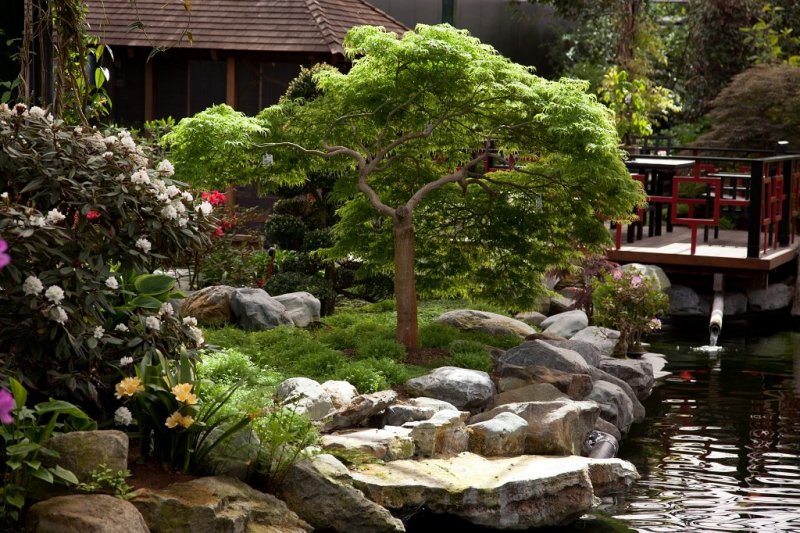 Watertuin Naaldwijk