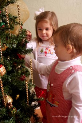 IMG_1778e.jpg