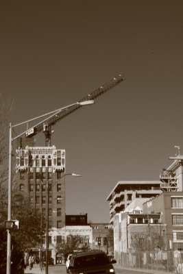 IMG_8117.jpg