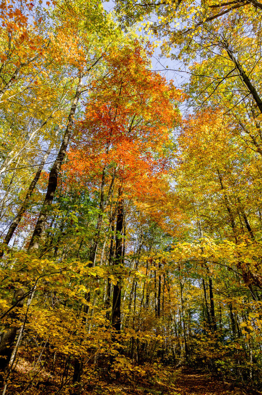_MG_3492_3_4.JPG