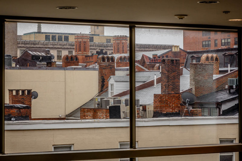 _MG_4065.JPG