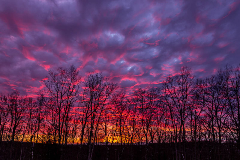 _MG_4438.JPG